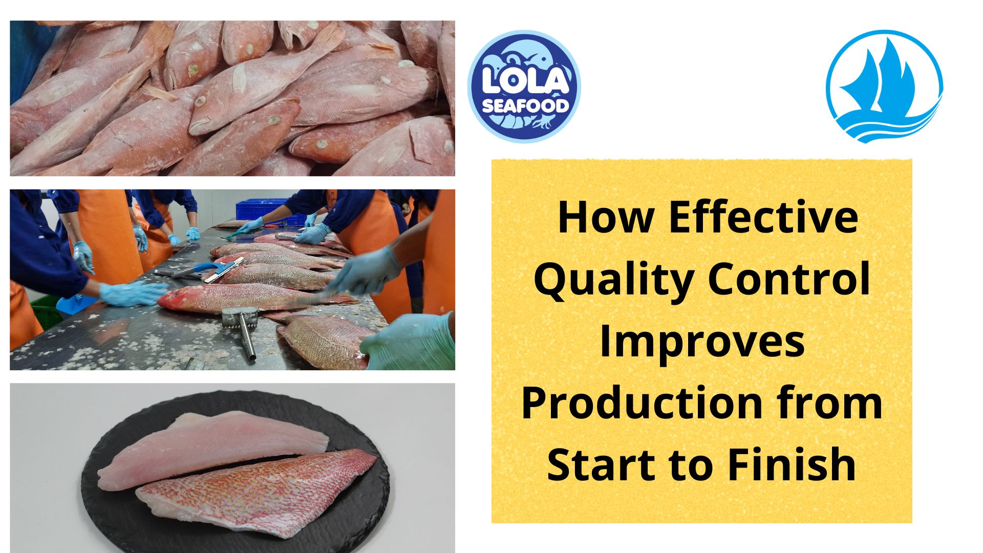 How Effective Quality Control Improves Production from Start to Finish